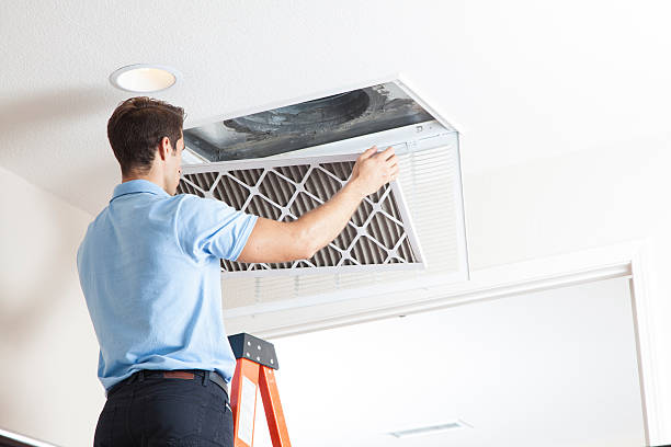 Best HVAC installation services  in Little Flock, AR